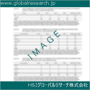 グローバルリサーチ調査資料のイメージ